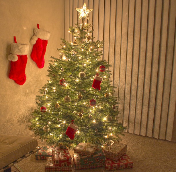 hdr_christmas_tree_by_tormentalous-d35b8um